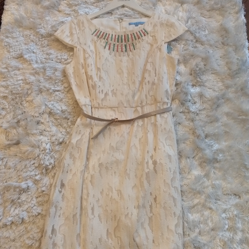 Antonio Melani Belted Embroidered Organza Dress